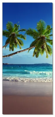 Produktbild von Wallario selbstklebende Türtapete 93 x 205 cm mit Schutzlaminat - Sandstrand auf den Seychellen - Urlaub unter Palmen