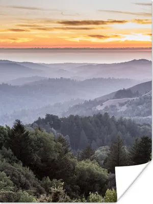 Produktbild von MuchoWow® Poster Berge - Sonne - Wald - Landschaft 90x120 cm - Wohnzimmer