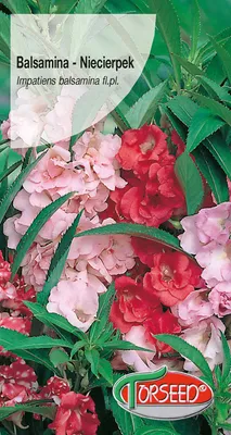 Produktbild von Balsamina (Impatiens) Samenmischung - Torseed