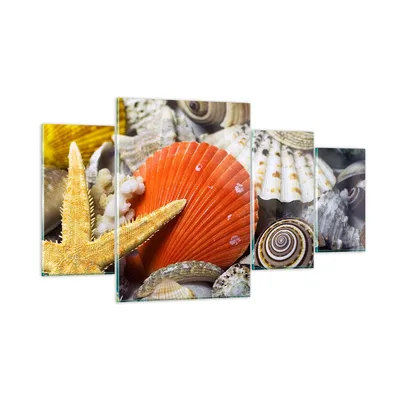 Produktbild von Bilder auf glas - Seashell Meer Strand Sand - 160x90cm - Glasbilder - Wandbilder - Kunstdruck - zum Aufhängen bereit - Wanddekoration aus Glas - Glas Bilder - Wandbild auf Glas - GDL160x90-0456