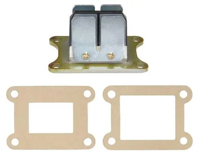 Image de Bloc de membrane (60 x 40 mm) en plastique + joints pour Aprilia RS4, RX, SX / Derbi GPR, Senda (moteur D50B0, EBE050, EBS050) - Citomer