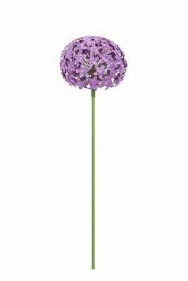 Produktbild von Gartenstecker Metall Allium lila Stecker Garten "ArtFerro" D20cm Blütenkugel