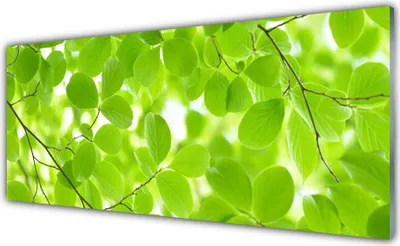 Produktbild von Acrylglasbilder 125x50 Wandbild Druck Blätter Natur
