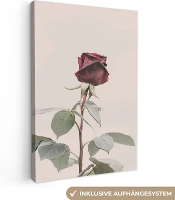 Produktbild von MuchoWow® - Leinwandbilder - Blumen - Rot - Rosen - Grün, Wandbild, Wanddeko Bilder Wohnzimmer, 80x120 cm