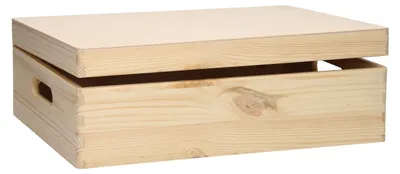 Obrázok produktu pre Úložný box Playwood borovicový box na hračky s odklopným vekom prírodný
