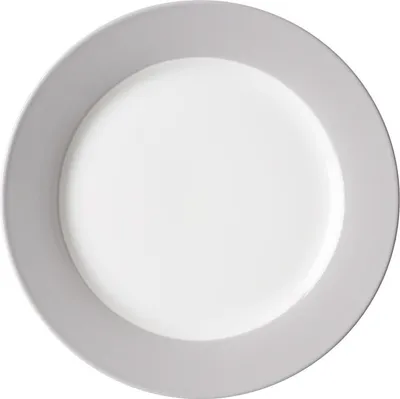 A top-down view of a single plate on a white background.