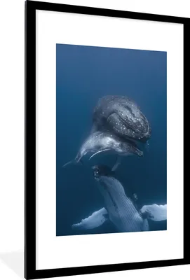 Produktbild von MuchoWow® MuchoWow® Gerahmtes Poster Wale - Meer - Familie 60x90 cm - Poster mit zchwarzem Bilderrahmen - Dekoration - Wandposter Wohnzimmer - Hochwertig