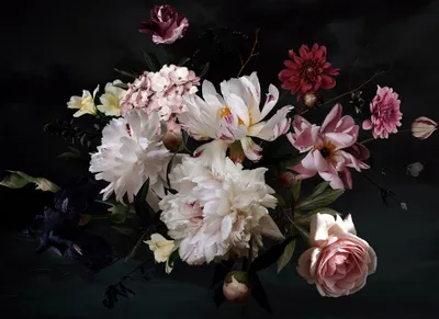 Produktbild von A.S. Création Fototapete Designwalls Blumentapete  rosa schwarz weiß Vlies glatt