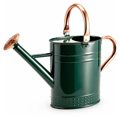 Gießkanne 3,8 L mit langer Tülle, Grün
