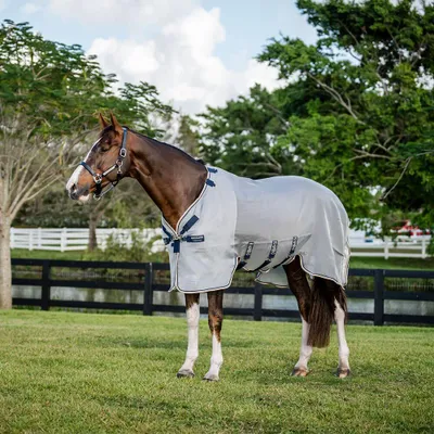 Image de Horseware Rambo Protector - Taille 165
