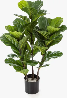 Produktbild von artplants.de Künstlicher Ficus Lyrata GUDJA, Kunststämme, grün, 90cm - Kunstficus