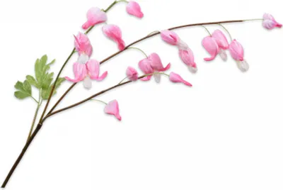 Produktbild von Silk-ka Künstliche Blume – Seidenblume Frittelaria-Zweig rosa 71 cm