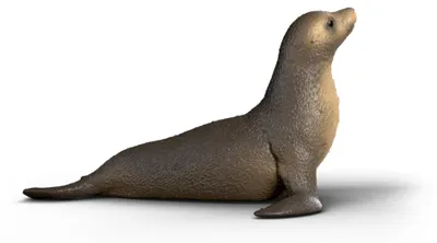 Image de Schleich GmbH Otarie Autres