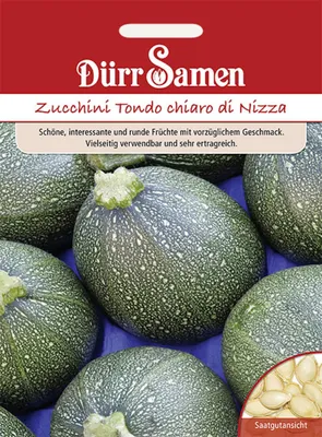 Produktbild von Dürr-Samen - Zucchini Tondo chiaro di Nizza - Saatgut - 0982