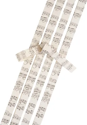 Produktbild von MarpaJansen Papierstreifen Noten 80 Stück 15 mm x 450 mm 80 g/qm