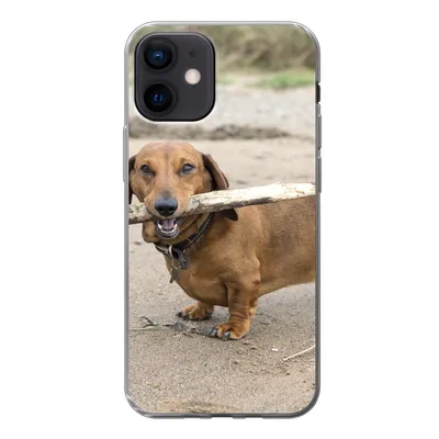 Produktbild von MuchoWow® Handyhülle Schutzhülle Hülle für iPhone 12 Ein schöner Dackel mit einem Stock im Maul Silikon Softcase Handy Hülle - Schutzhülle
