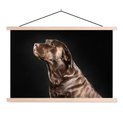 Produktbild von MuchoWow® Textilposter Hund - Braun - Porträt 60x40 cm mit holzfarbenen Rahmen - Bilder