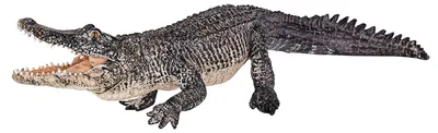 Zdjęcie produktu dla Mojo Fun Alligator with moving jaw, 3 lat(a), Wildlife, Szary, Biały, Polichlorek winylu (PVC)