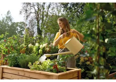 Produktbild von Tomatendünger manna Plantiful 700 g für max. 700 L Gießwasser