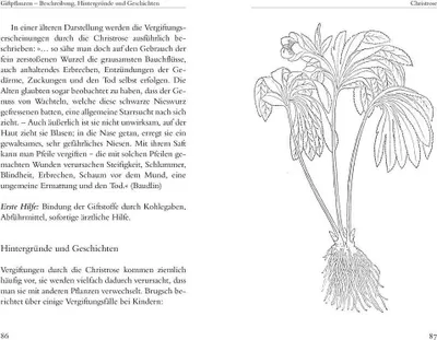 Obrázek produktu pro Heimische Giftpflanzen. Beschreibung, Wirkung und Geschichten