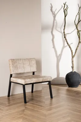 Produktbild von Venture Home Akzentstuhl Monett Beige 2er-Pack