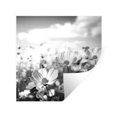 Produktbild von MuchoWow® Wandtattoo Wandsticker Wandaufkleber Blumen - Wiese - Lila - Gras - Weiß - Wolken - Blau 100x100 cm Selbstklebend und Repositionierbar - Wierderverwendbar - Selbstklebend