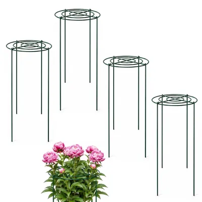 Produktbild von Solidchoice – 4 Stück Rosenhalter für Gartenpflanzen