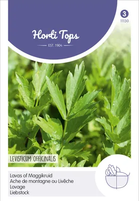 Produktbild von Liebstock | Liebstöckelsamen von Hortitops