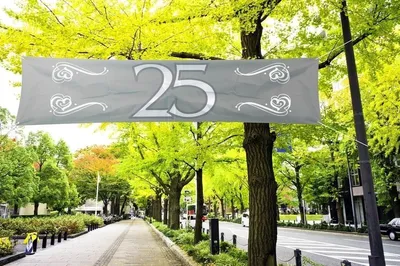 Produktbild von Banner Zahl 25, Silberhochzeit, Jubiläum,  180x40cm