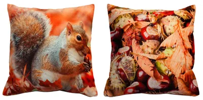 Produktbild von Kissenhülle Fotodruck Eichhörnchen Kurzplüsch 40x40