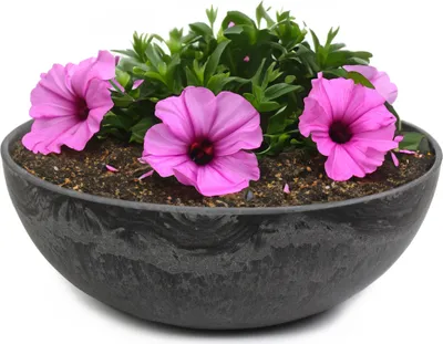Produktbild von Runde bauchige 20 cm Pflanzschale für draussen, schwarz marmoriert