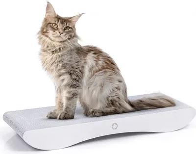 Immagine prodotto di COMET L | Tiragraffi canadese per gatti | WHITE EDITION | BIANCO