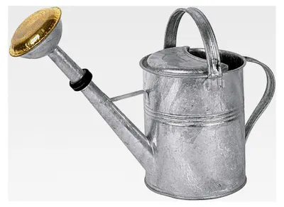 Produktbild von Giesskanne Deluxe 5l verz.