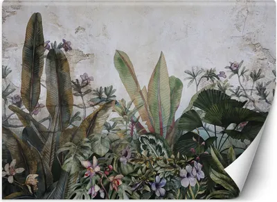 Produktbild von Vlies fototapete Monstera-Blätter auf Betonwand 368x254 cm Feeby Grün inkl. Kleber einfache Montage