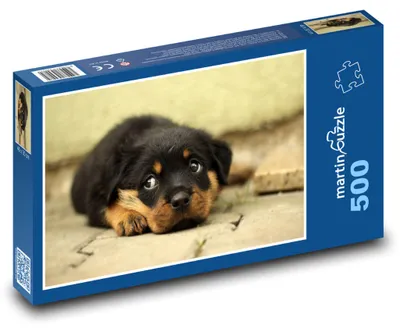 Obrázek produktu pro martinpuzzle - Puzzle 500 - Rottweiler - štěně