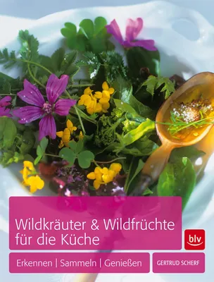 Produktbild von Wildkräuter & Wildfrüchte für die Küche