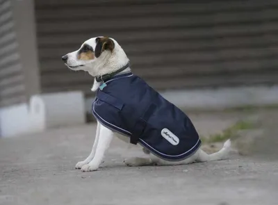 Produktbild von D&L Hundedec 600D220G Mb/Gr 40