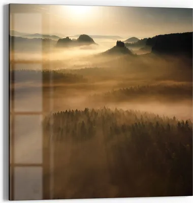 Produktbild von DEQORI Glasbild Echtglas 30x30 cm 'Goldener Waldhauch' Wandbild Bild modern Deko