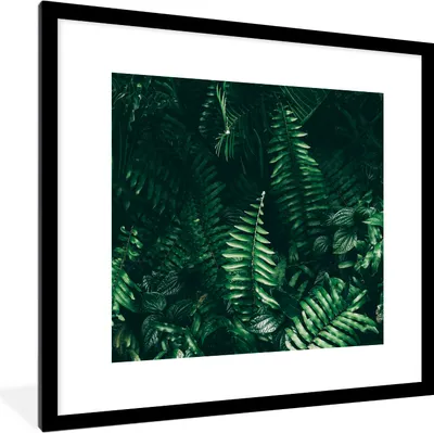 Produktbild von MuchoWow® Gerahmtes Poster Blätter - Dschungel - Natur - Tropisch - Pflanzen 40x40 cm - Poster mit Schwarzem Bilderrahmen Wandposter Rahmen Foto Bilder - Poster - Plakat im Rahmen