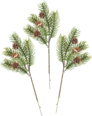 Produktbild von Edeltannen-Pick "Tessy" mit Zapfen, 3 Stück, L 28 cm