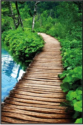 Produktbild von Wallario Wandbild Holzweg im Wald, Größe: 61 x 91,50 cm, Poster mit schwarzem Aluminiumrahmen