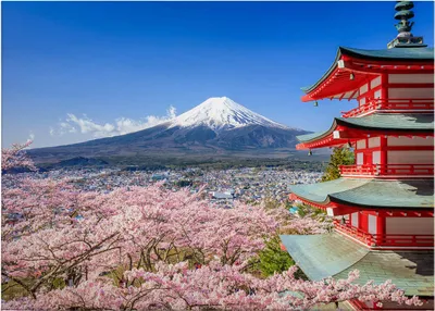 Produktbild von Leinwandbild Japanisch 50 x 70 cm - Wandbild Blau Rosa - Keilrahmen Berge Landschaft Wohnzimmerdeko Wanddeko Wandgemälde