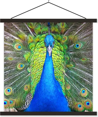 Produktbild von MuchoWow® Textilposter Pfau - Blau - Grün 90x90 cm mit schwarzem Rahmen - Magnetisches