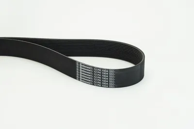 Produktbild von Continental ContiTech 12PK1934 Keilrippenriemen 1930mm