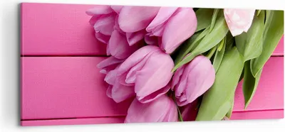 Produktbild von Bild auf Leinwand - Leinwandbild - Tulpen Blumenstrauß Garten - 120x50cm - Wand Bild - Wanddeko - Leinwanddruck - Bilder - Kunstdruck - Wanddekoration - Leinwand bilder - Wandkunst - AB120x50-2722
