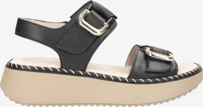 Produktbild von Gabor 4.590.27_6, Sandaletten in Schwarz für Damen, Größe 38,5