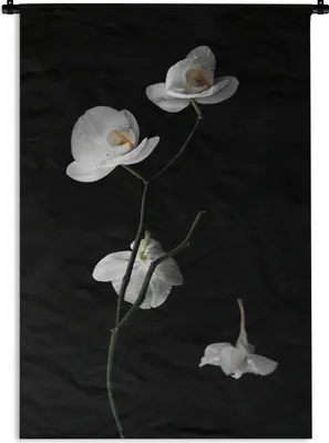 Produktbild von MuchoWow® Wandteppich Wandbehang Orchidee - Blumen - Schwarz - Weiß - Stilleben 120x180 cm Tapisserie Dekoration Wandtuch - Schlafzimmer - Dekorationen für das Haus