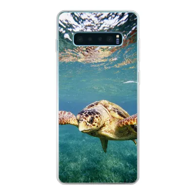 Produktbild von MuchoWow® Handyhülle Schutzhülle Hülle für Samsung Galaxy S10 Lite Schildkröte - Wasser - Blau Silikon Softcase Handy Hülle - Schutz