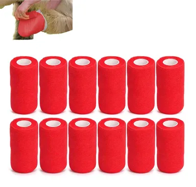 Productafbeelding van Zelfklevende Bandages, 12 Stuks, 10 cm Rood