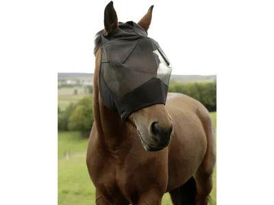 Produktbild von Icelandic Horse Stable Fliegenmaske Maske mit Ohrenaussparung, Pony / schwarz